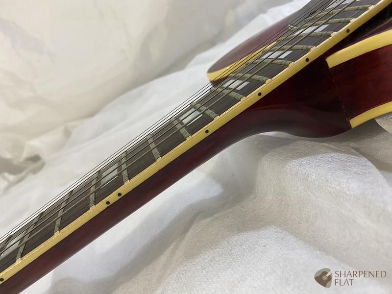 1973-1975 Greco SA-550 | Reverb